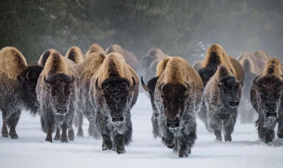 北京日上防盗门有限公司轮播图5